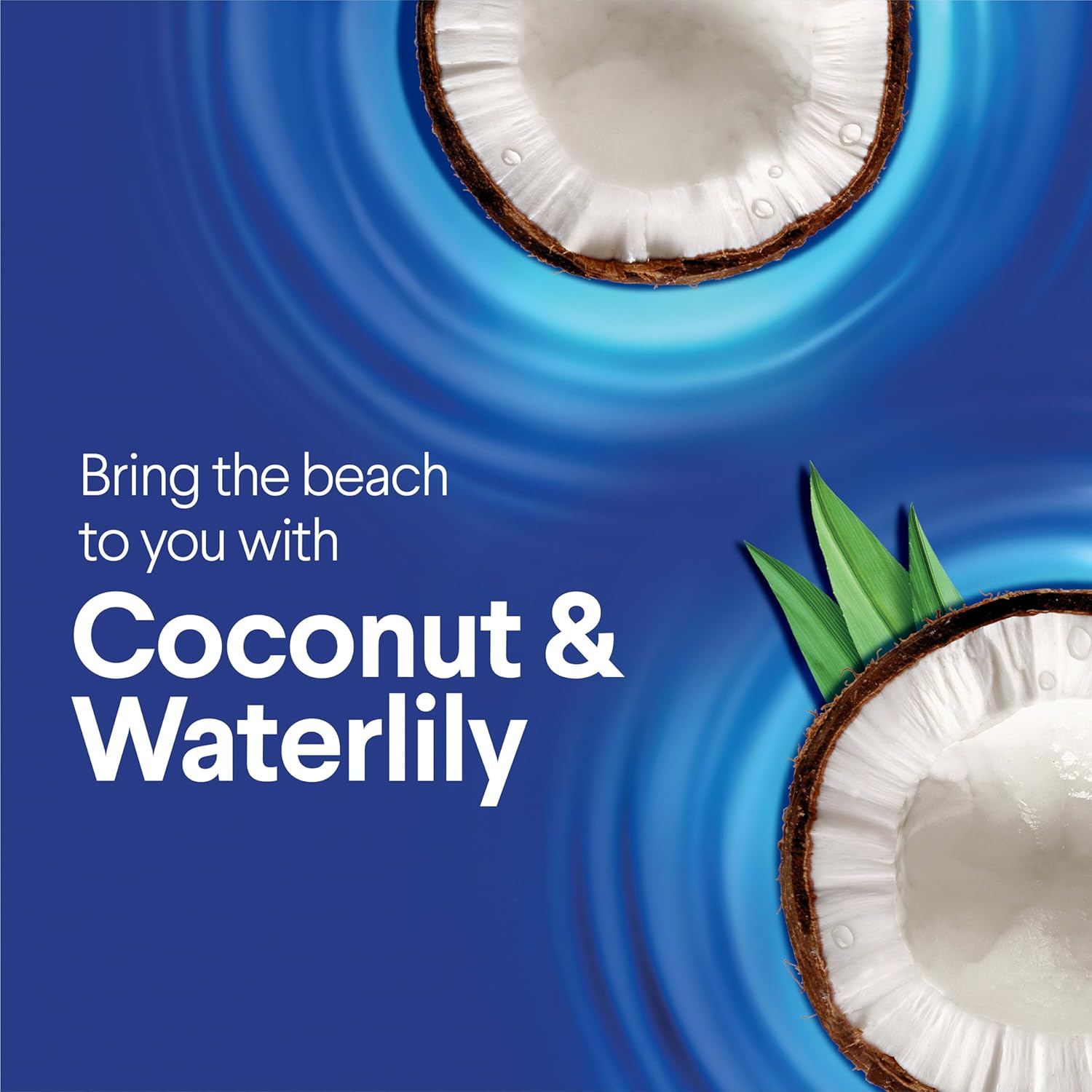 Scentiva Sterilized Wet Mop Pads | Disposable Mop Heads | Coconut & Waterlily | 2 Pack | 24 Wet Refills Per Pack (Packaging May Vary)