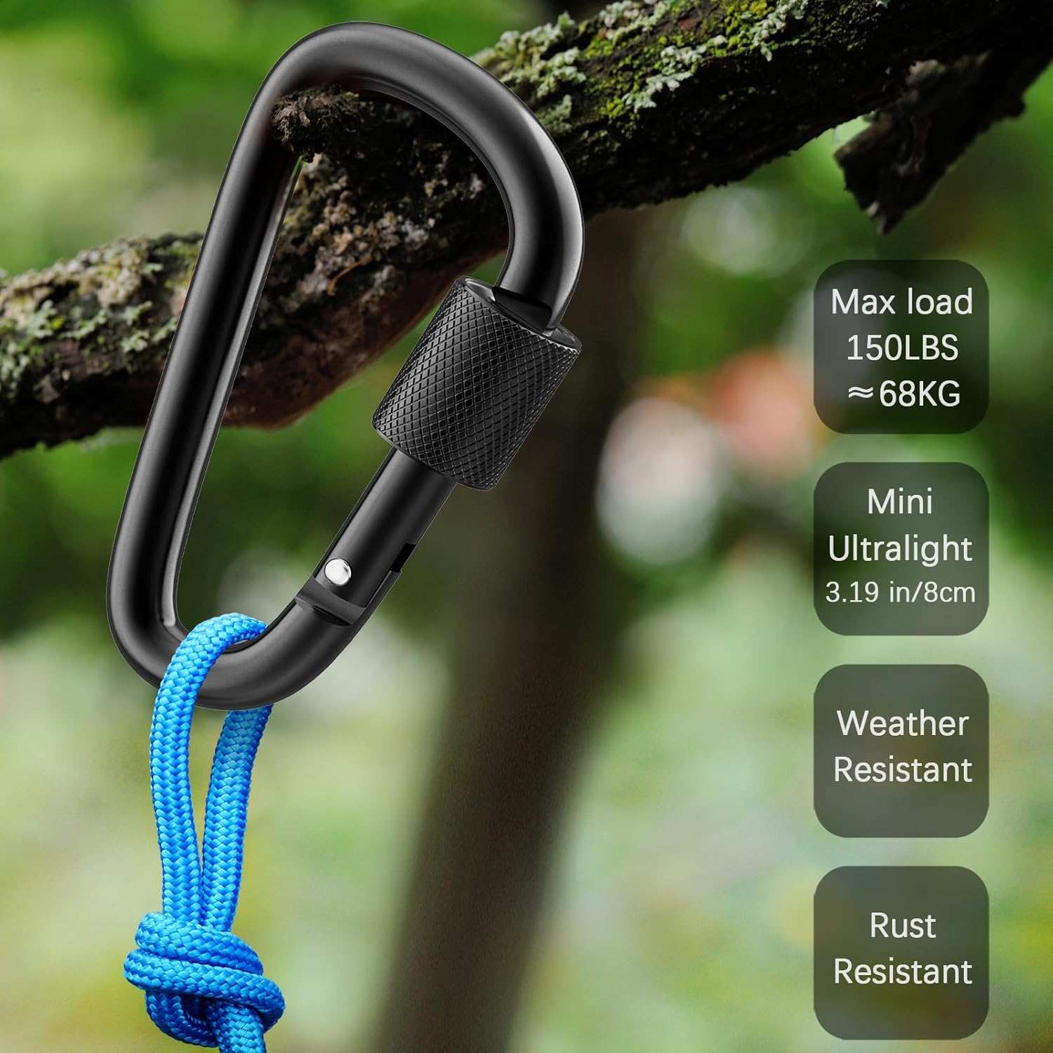 3 inch Locking Mountaineering Buckle
