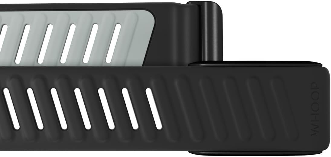 12 Month Health Tracker Heart Rate