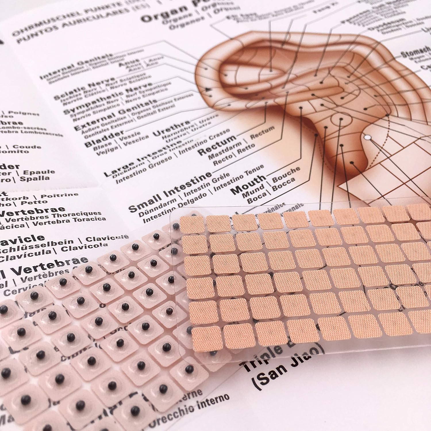 Multi-Conditional Ear Seed Acupuncture Set 600 Sticks | E-Book Placement Chart | Probe | Acupuncture Point Chart | Tweezers