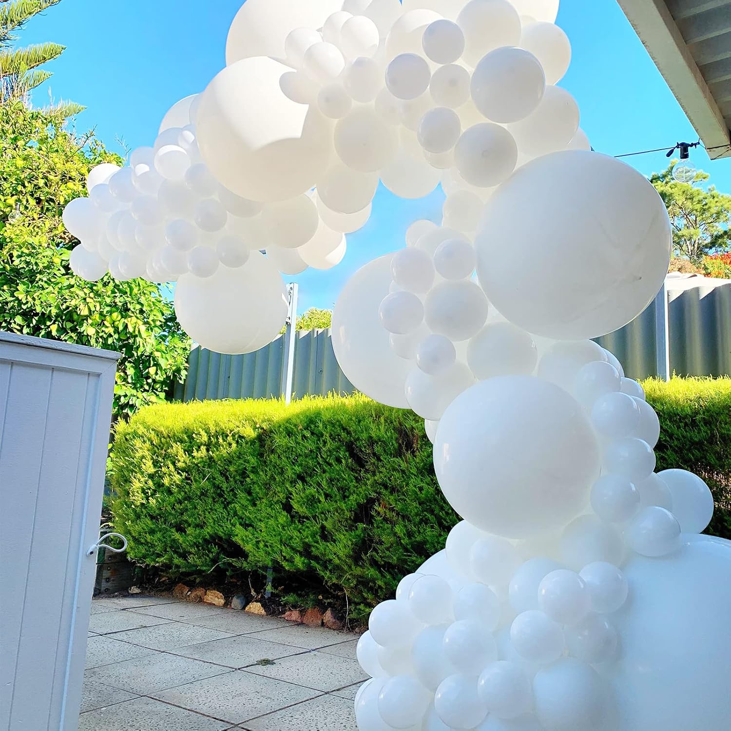 130 White Balloons
