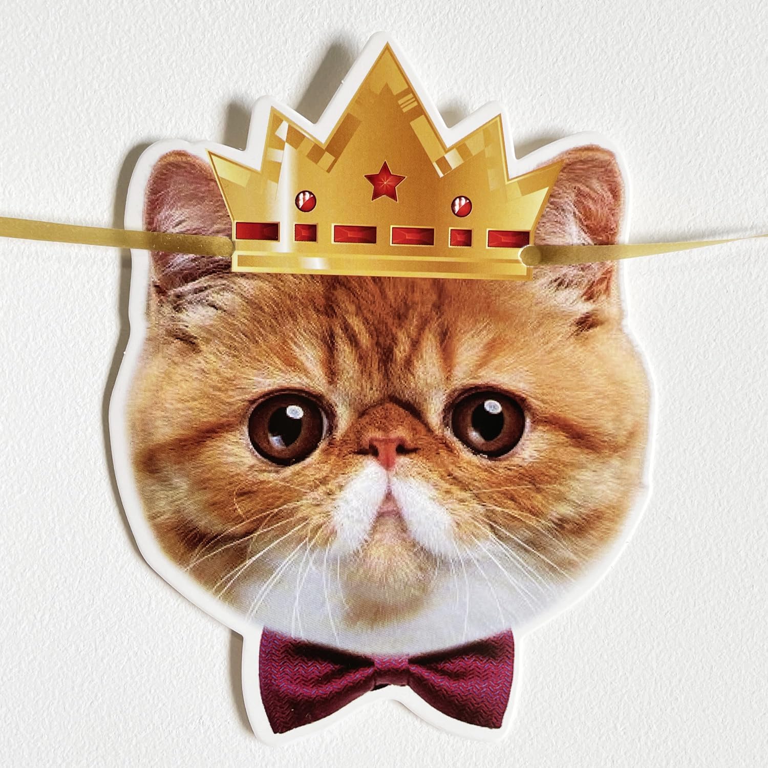 Happy Birthday Banner Cat Wreath