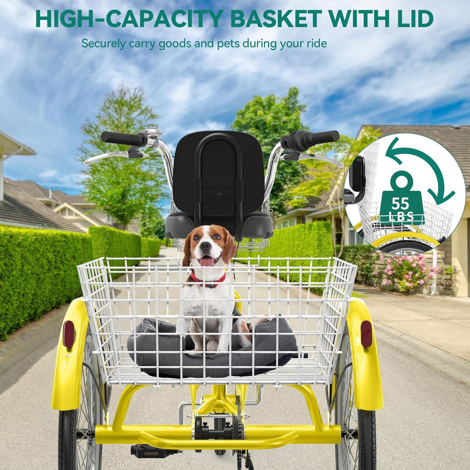 24/26" 1/7-Speed Adult Tricycle, Baskets