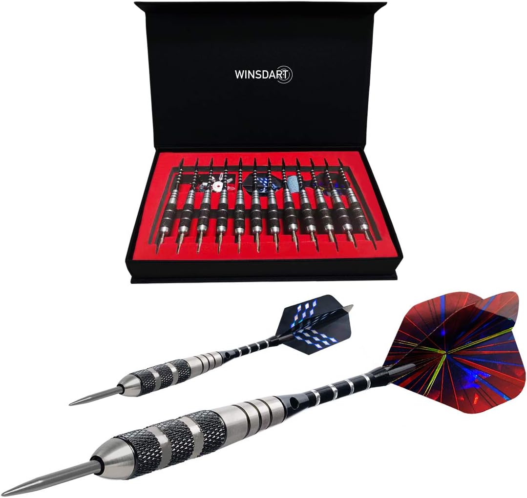 Professional Metal Darts Set