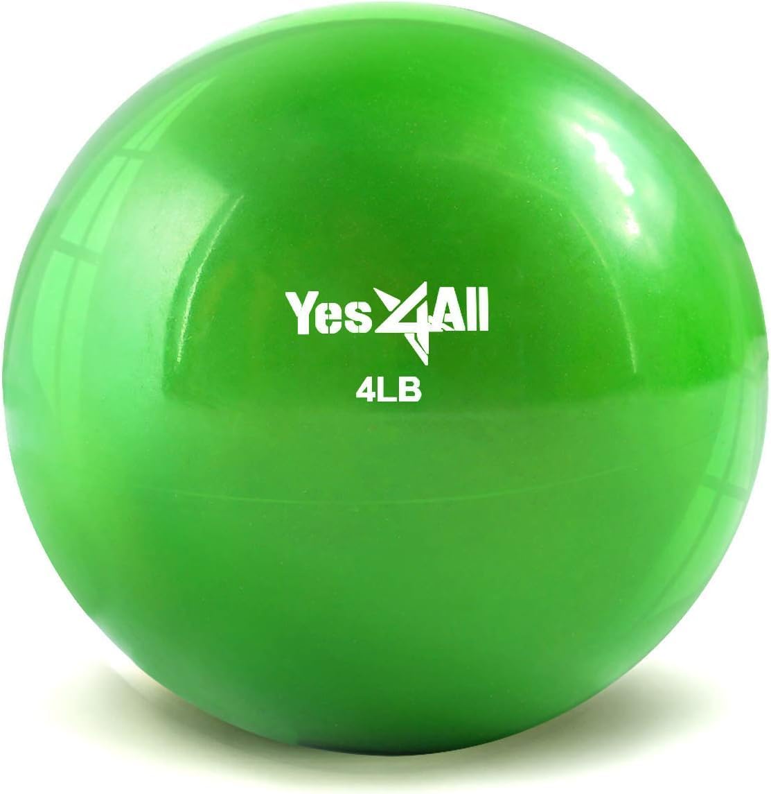 Weighted Exercise Ball