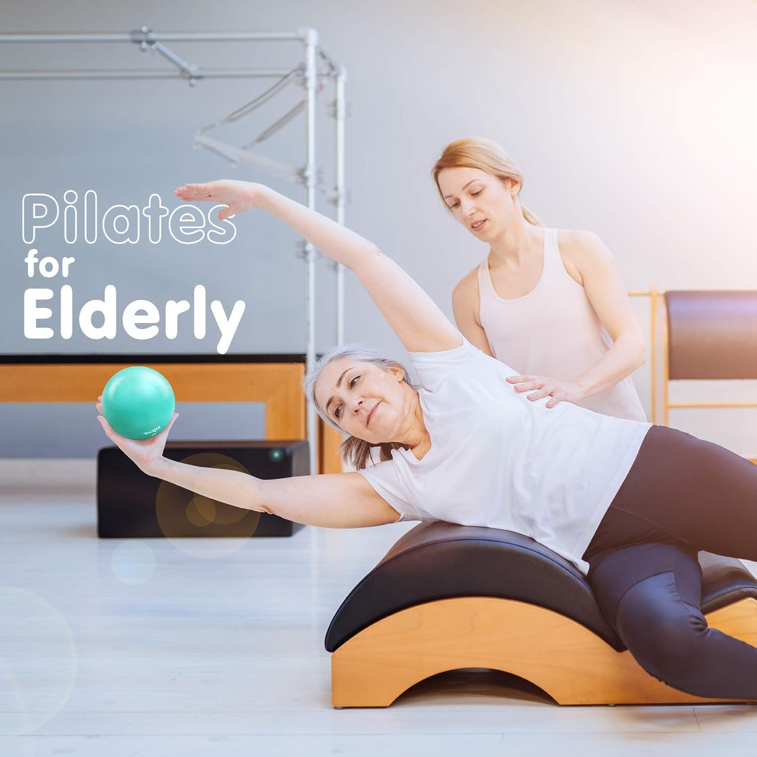 Weighted Exercise Ball