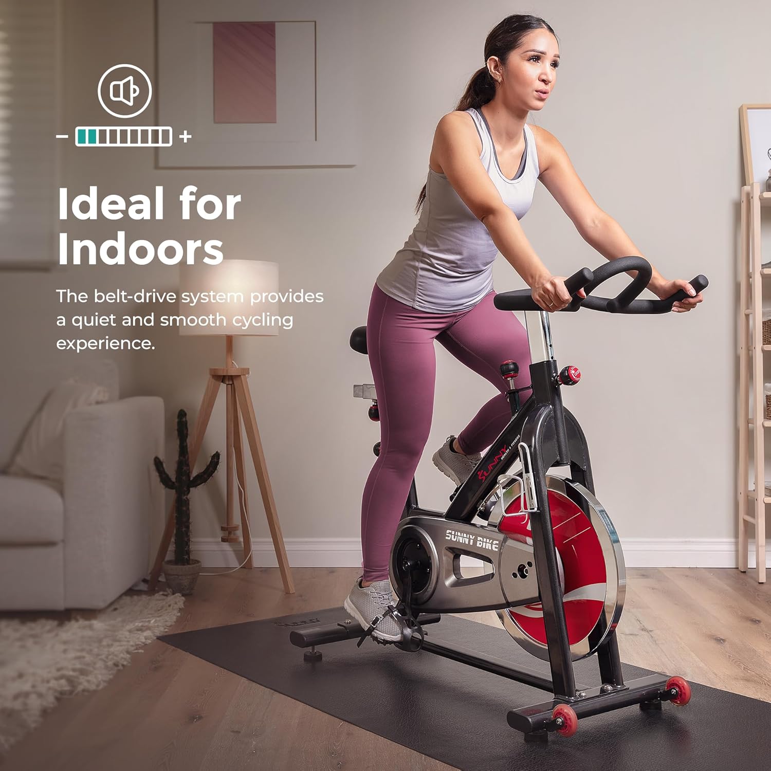 Indoor Stationary Exercise Bike