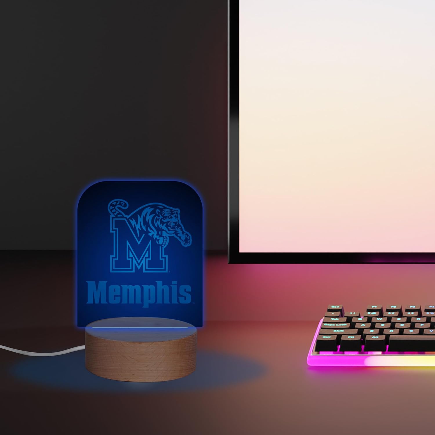 NCAA Florida State Seminoles LED Desk Light