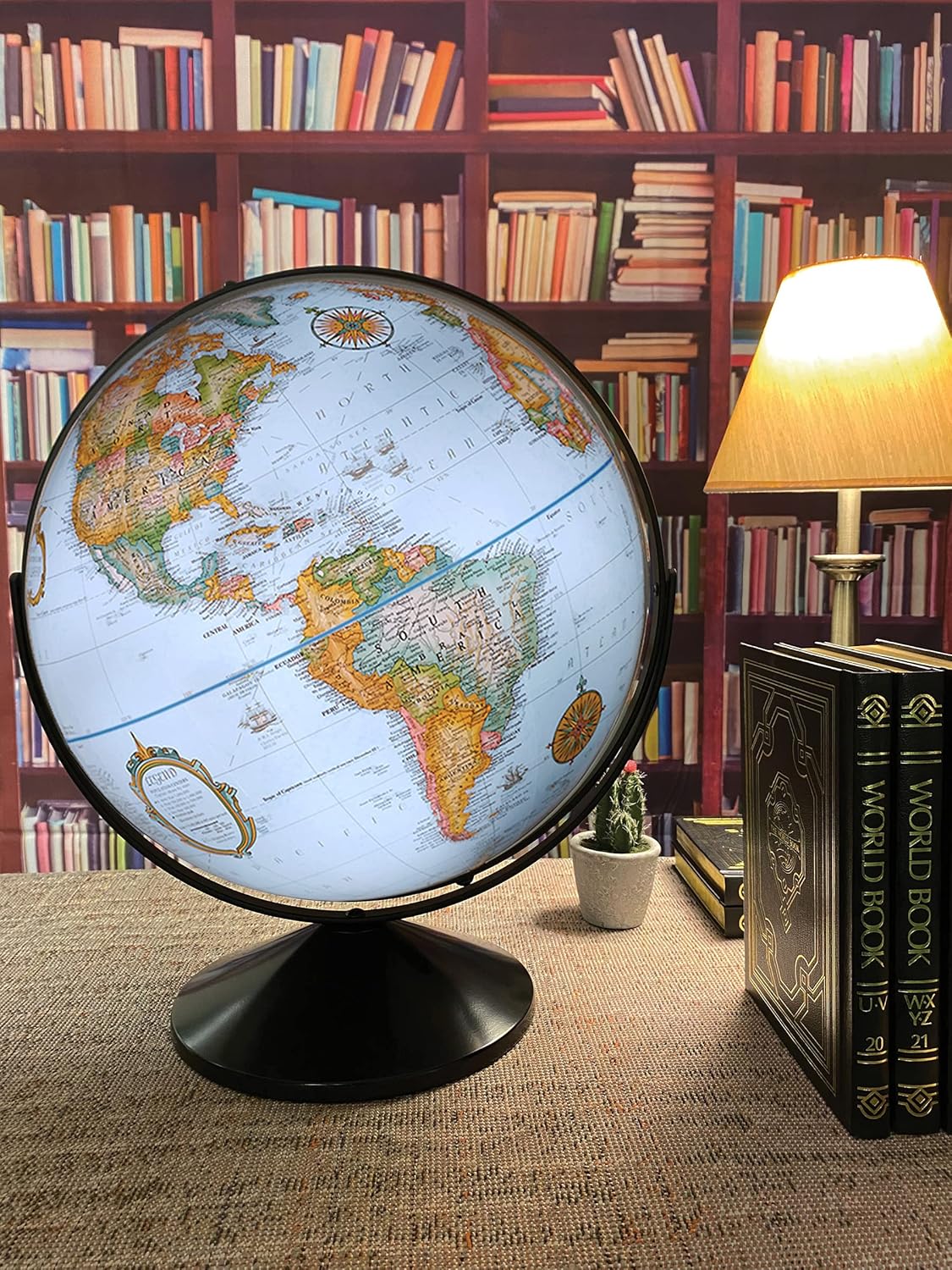 16 inch Globe