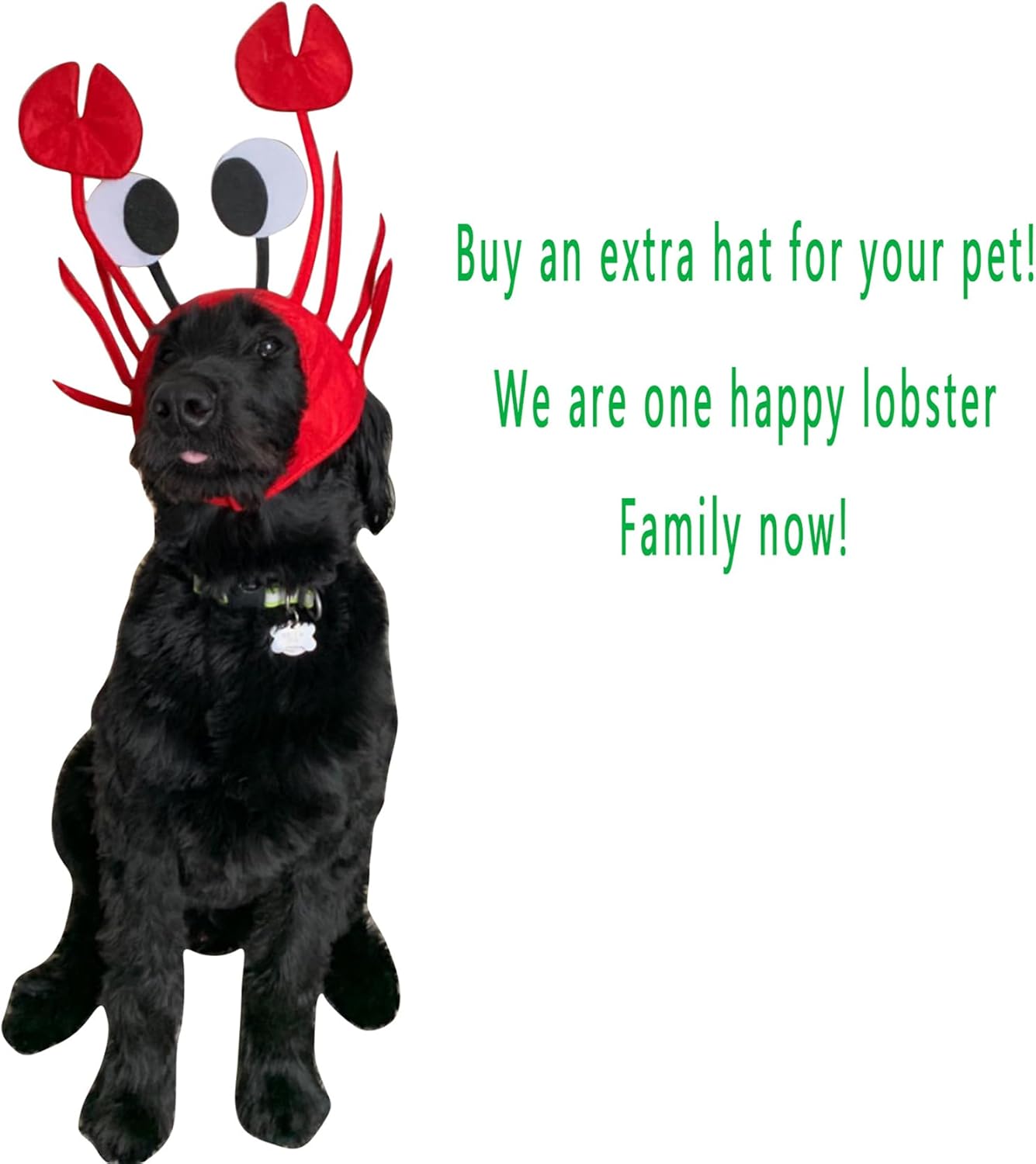 3D Novelty Crab Hat Set