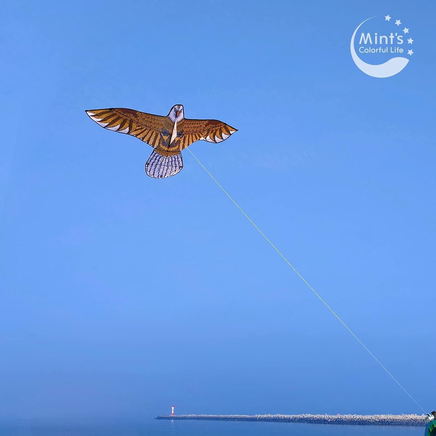 60" Bald Eagle Kite