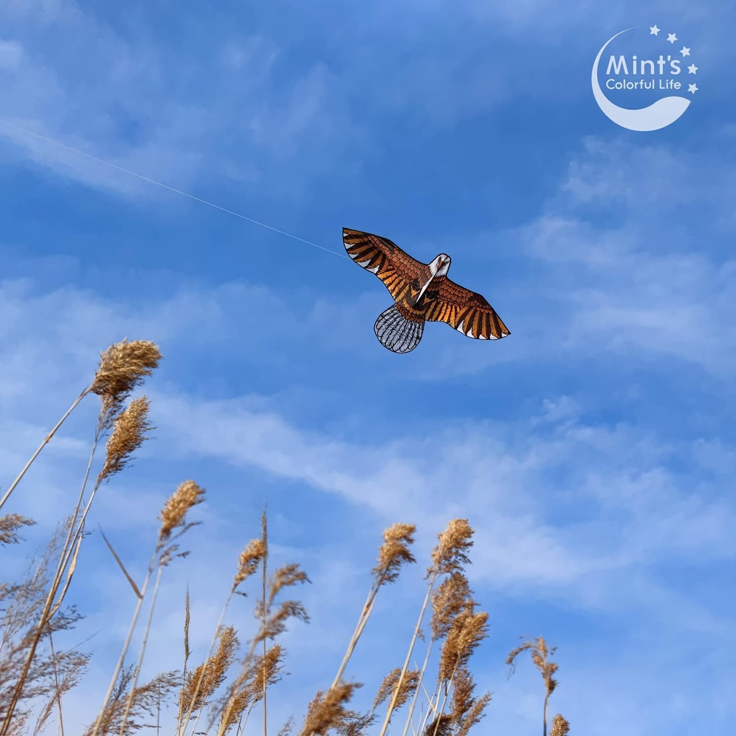 60" Bald Eagle Kite