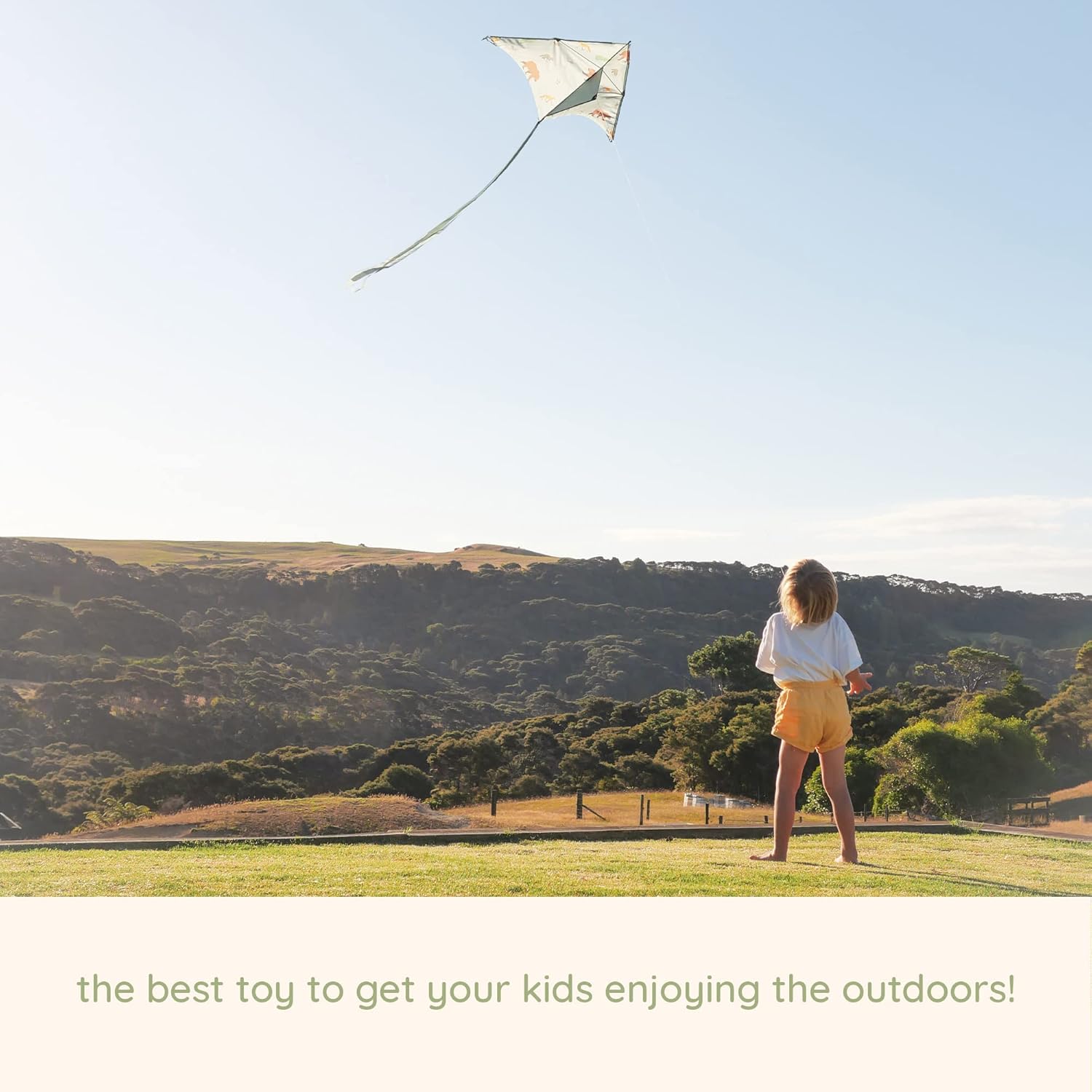 Kids Kites, Easy Fly