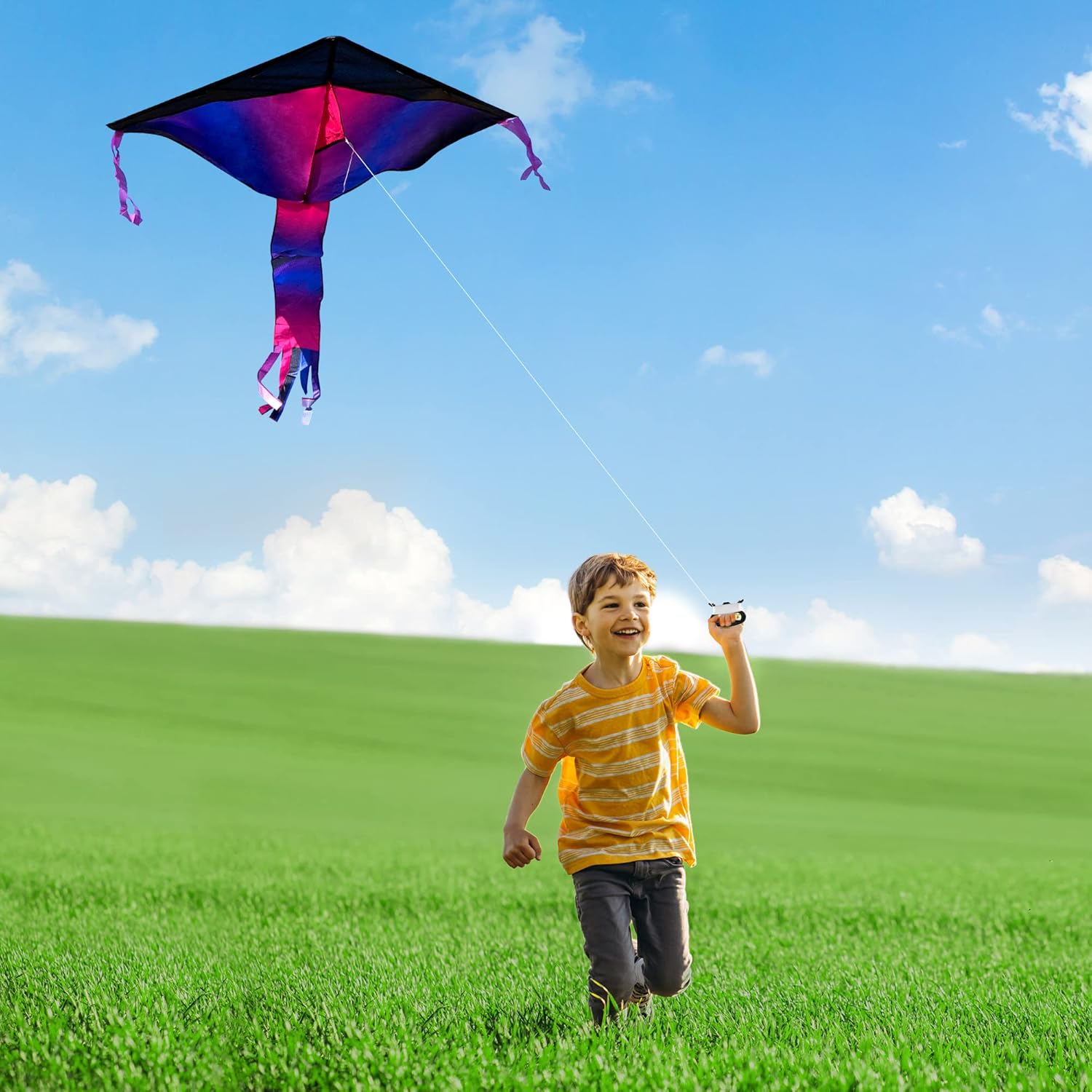 3 Pack Delta Kites