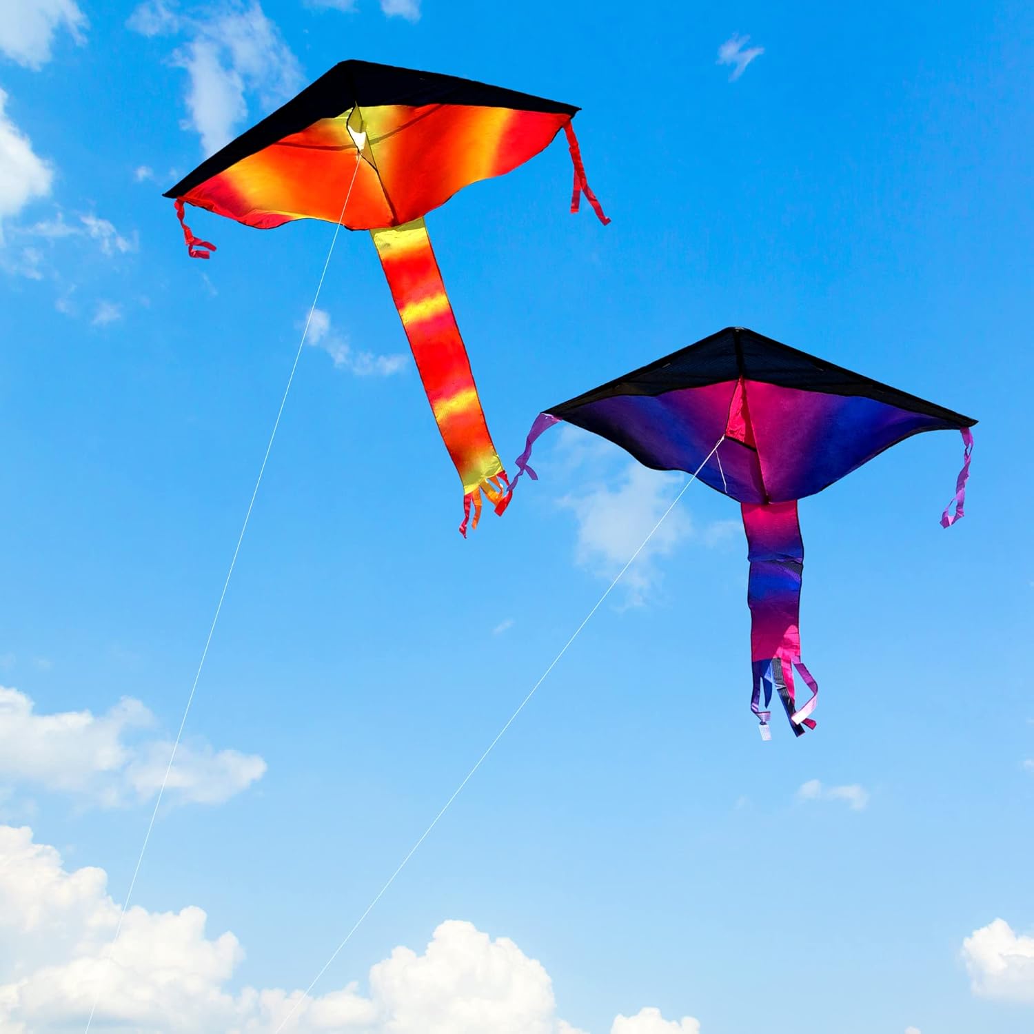 3 Pack Delta Kites