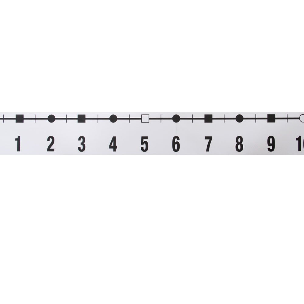 -39 to 185 integer number lines for classroom walls, math borders classroom announcements, student number lines, teacher supplies, number lines with negative numbers, math posters (18 sections)