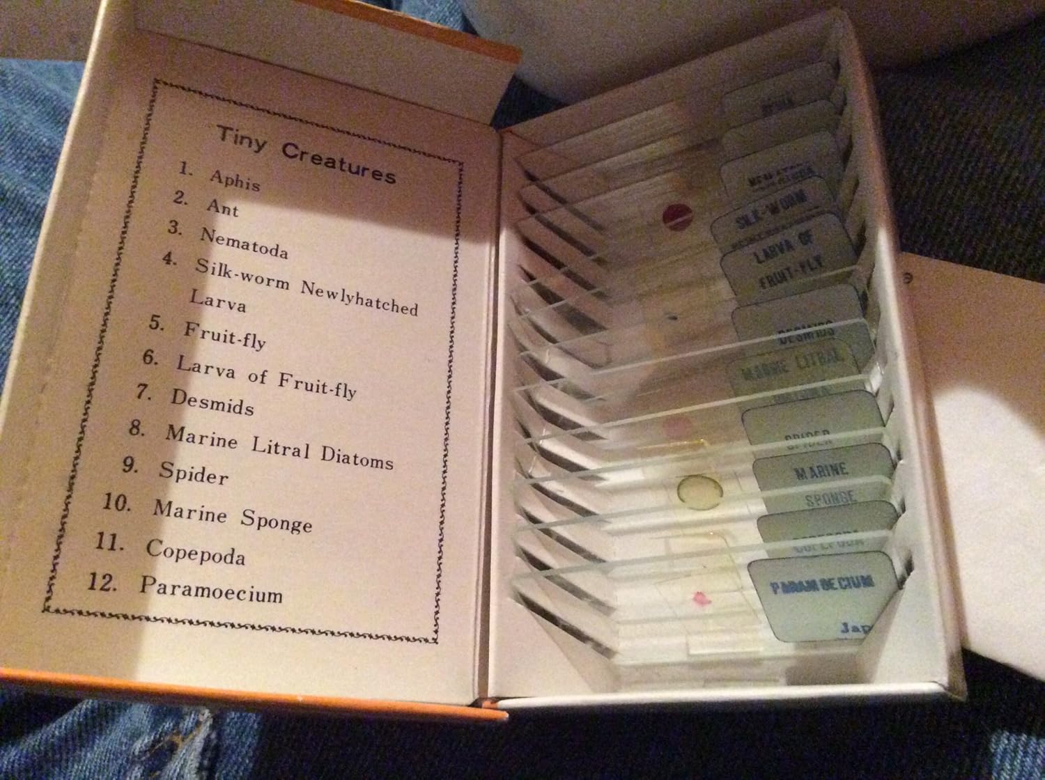 11 Set Microscope Slides