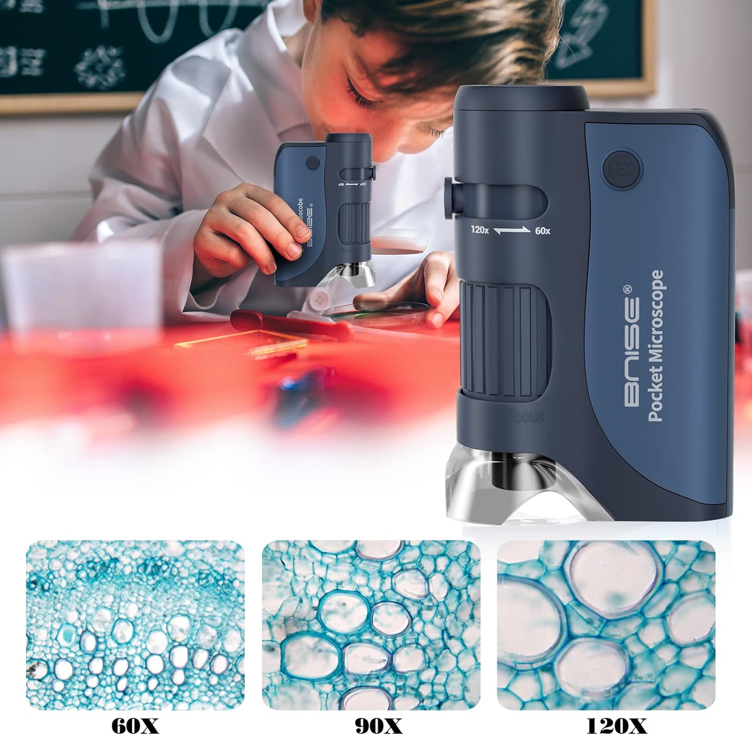 Pocket Microscope 60X-120X