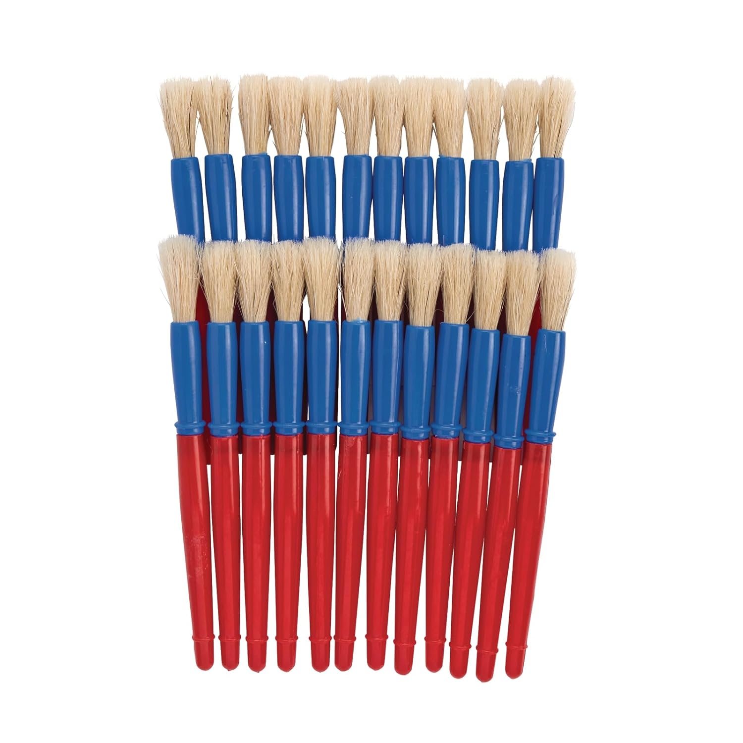 24 Pack Plastic Handle Brushes