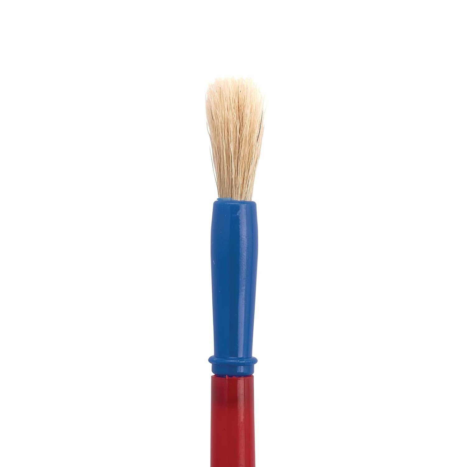 24 Pack Plastic Handle Brushes