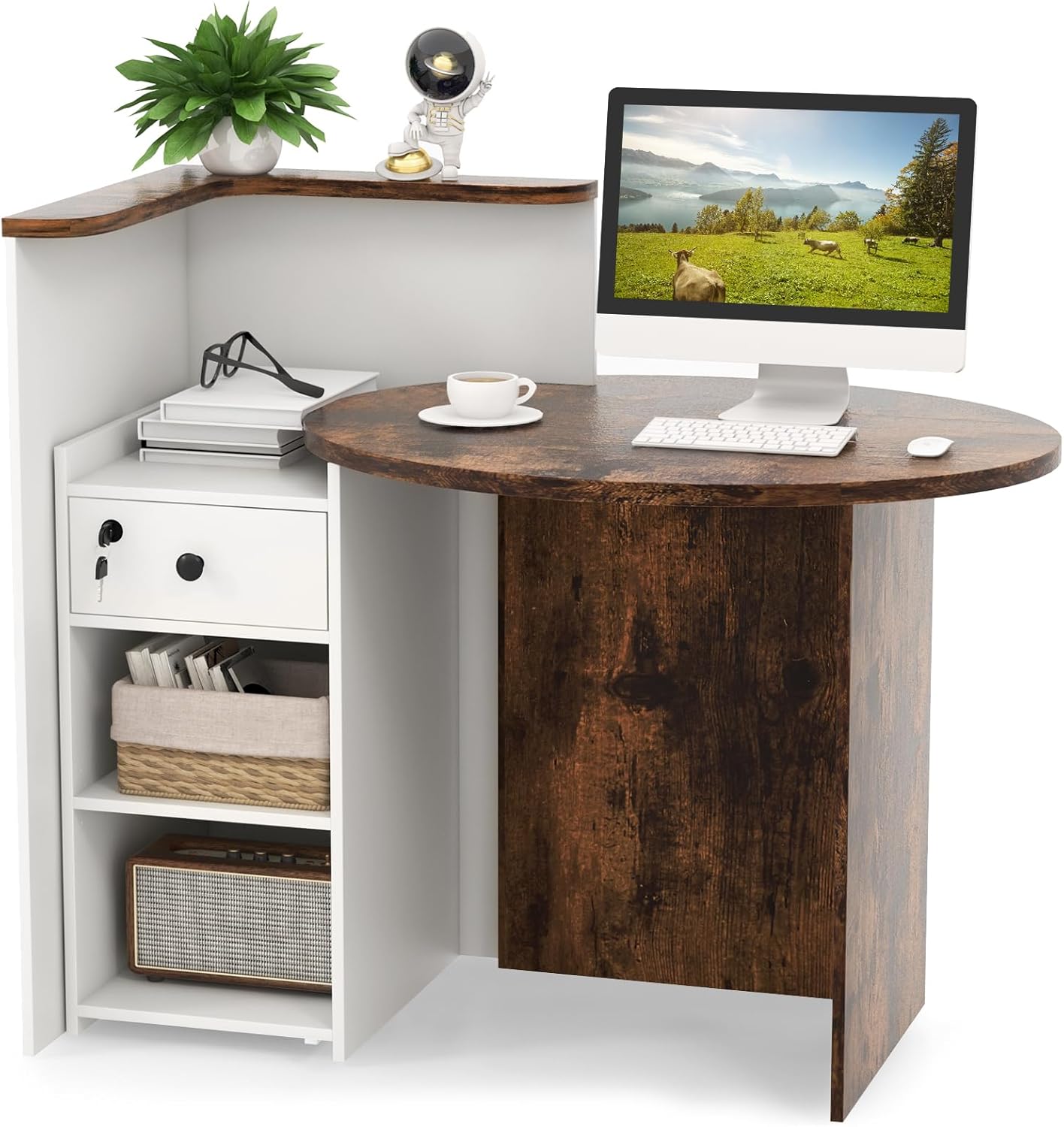 reception desk, front counter with lockable drawers and adjustable shelves, oval desktop, checkout retail counter, computer workstations in salon lobby offices, home office desks