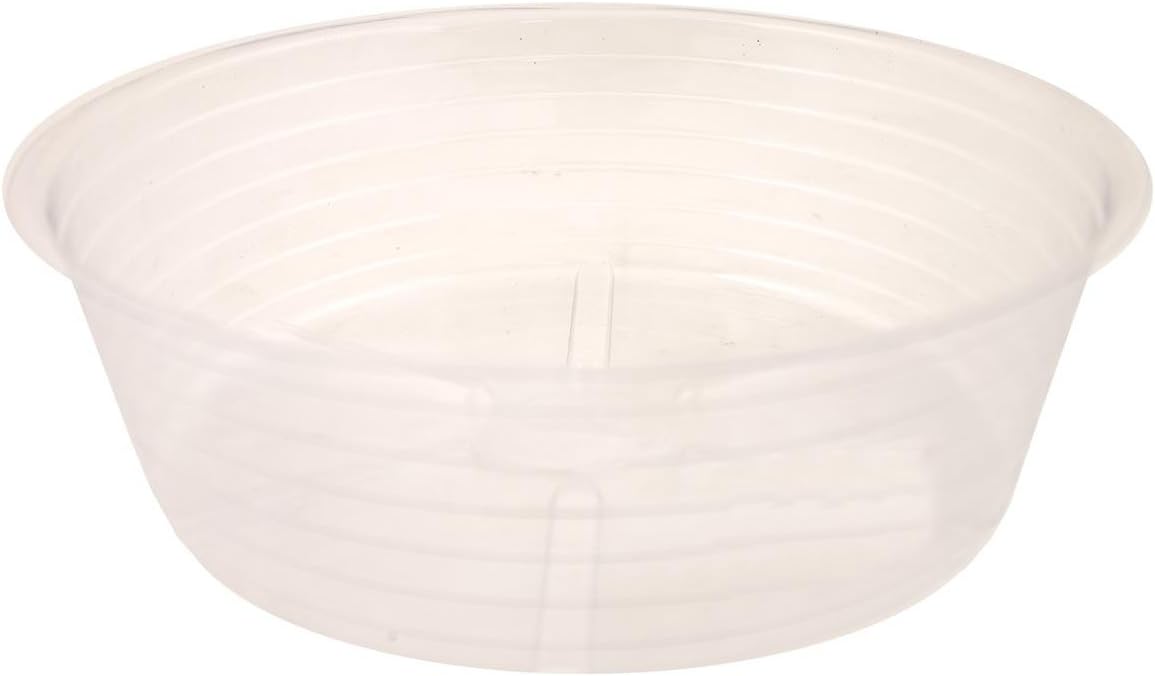 10 inch (approx. 25.4 cm) deep dish clear plastic dish
