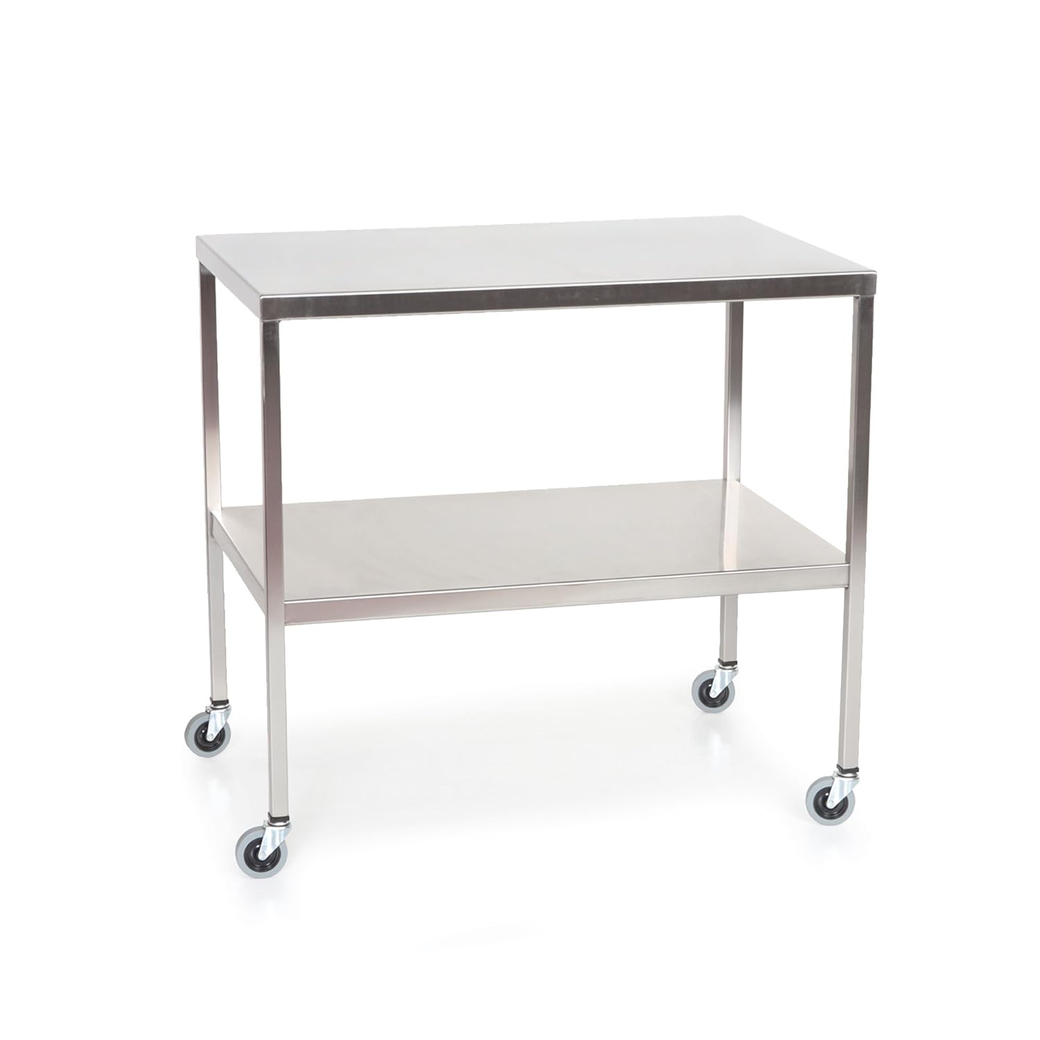 Stainless steel instrument table with shelf 25.4 CM L X 33 cm W x 25.4 CM H