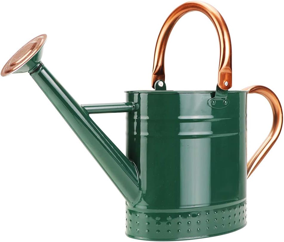 1 gallon (approx. 3.8 liter) metal spray can with removable spout, beautifully embossed galvanized steel tank design for indoor and outdoor plants