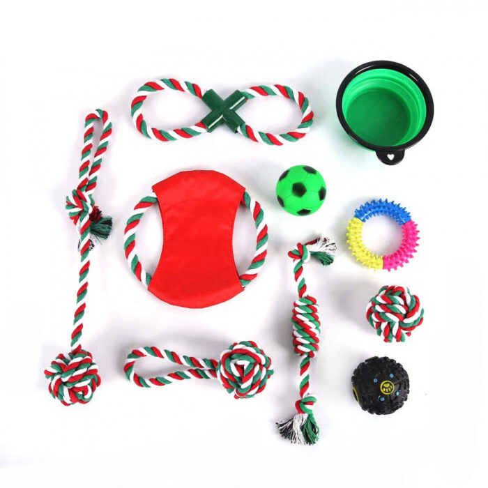 10 Pack Christmas Dot Toy
