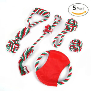 5 Pack Christmas Dot Toy