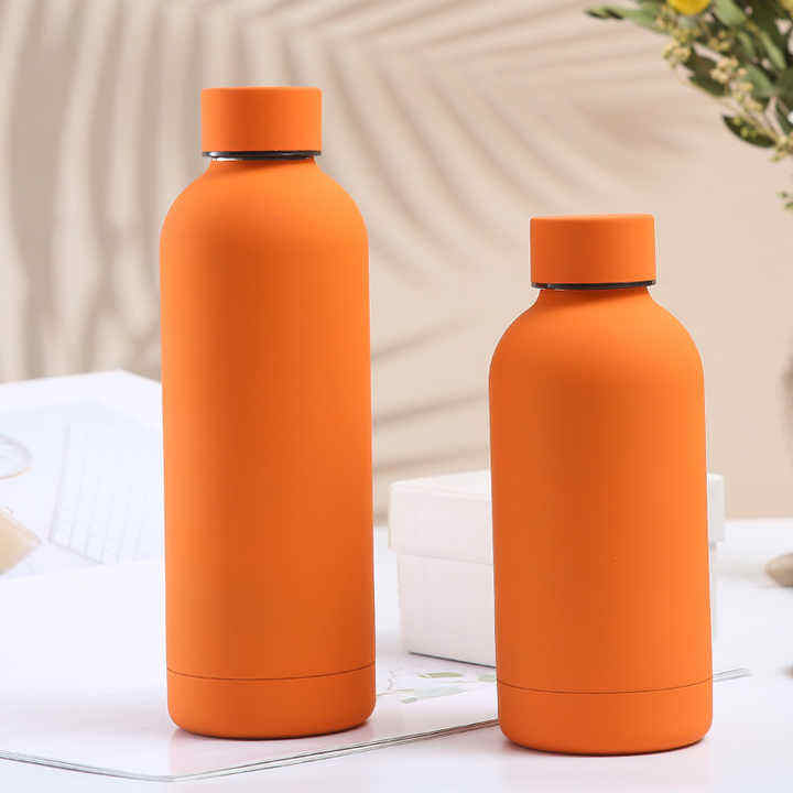500ml Double Wall Water Bottle