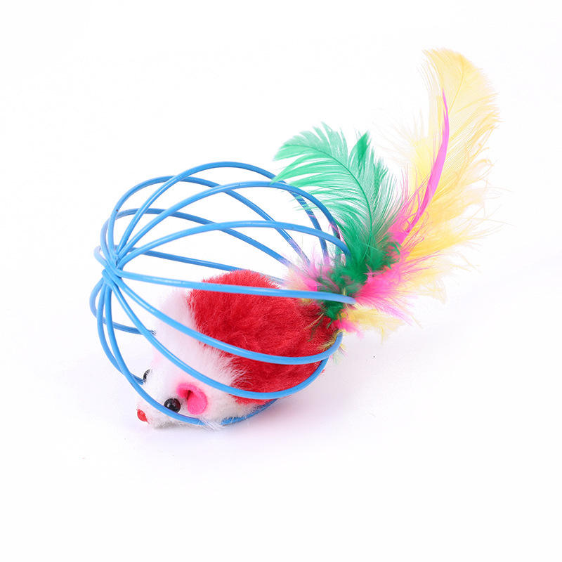 Interactive Cat Toys