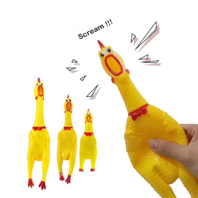 10 Pack Squeaky Dog Toy