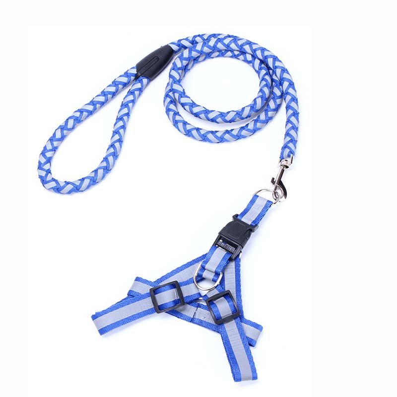 Cute Nylon Harness & Leash Set