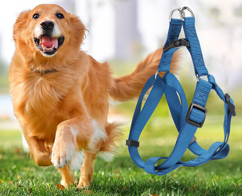 Custom No-Pull Dog Harness