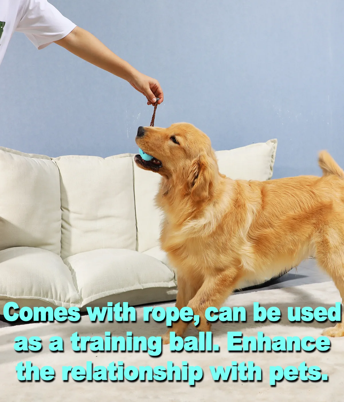 Durable Chew Dental Care Stick