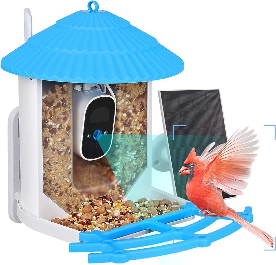 4G Solar AI Bird Feeder