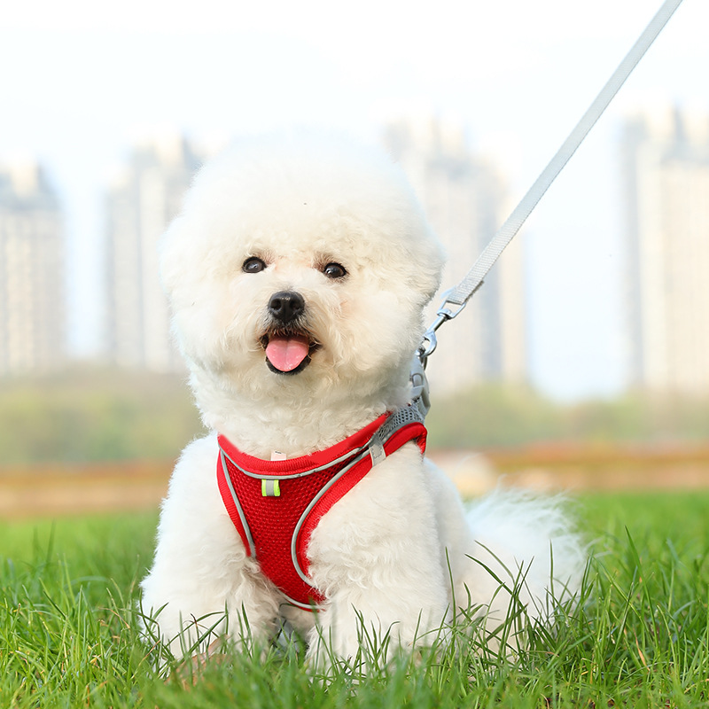 Tactical Dog Harness Set