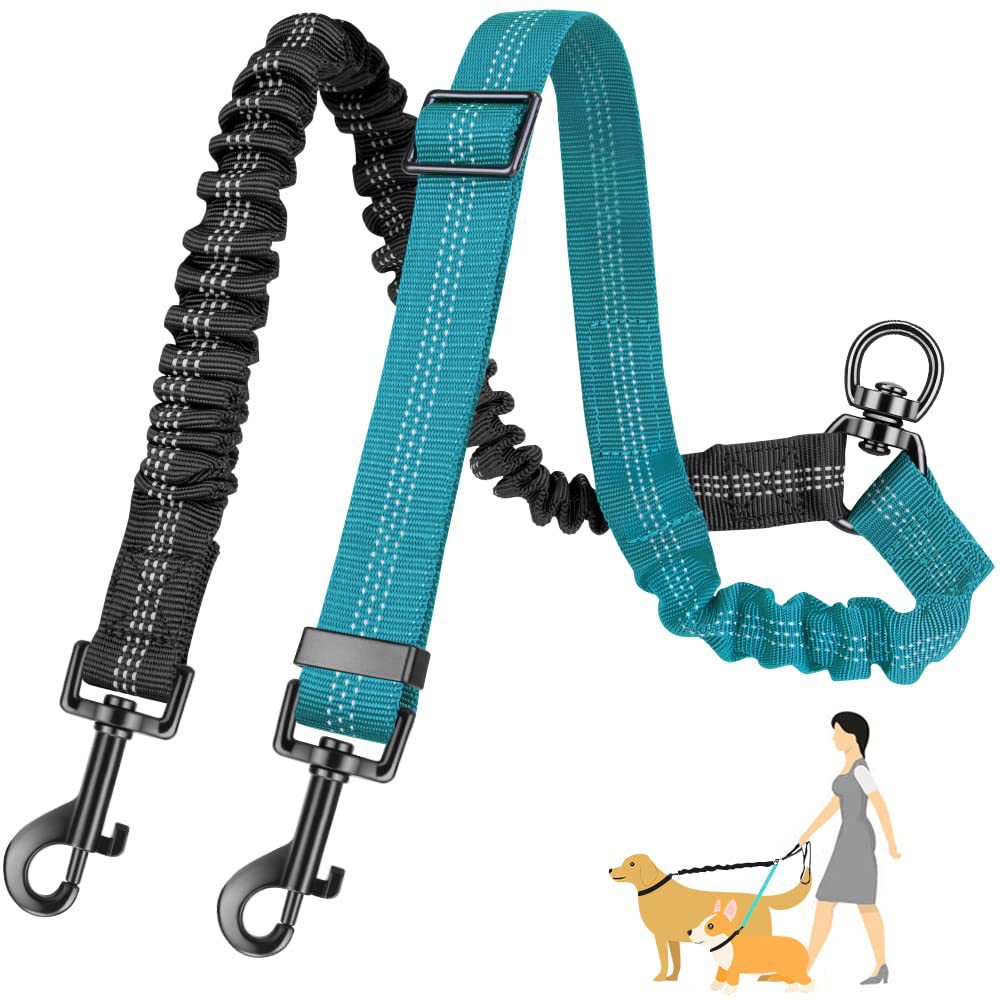 Double Dog Leash for Large Dogs