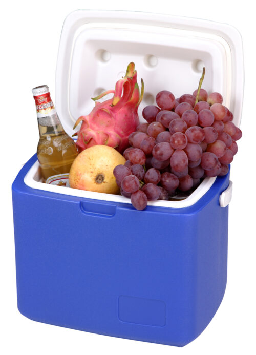 10L Ice Cooler Box