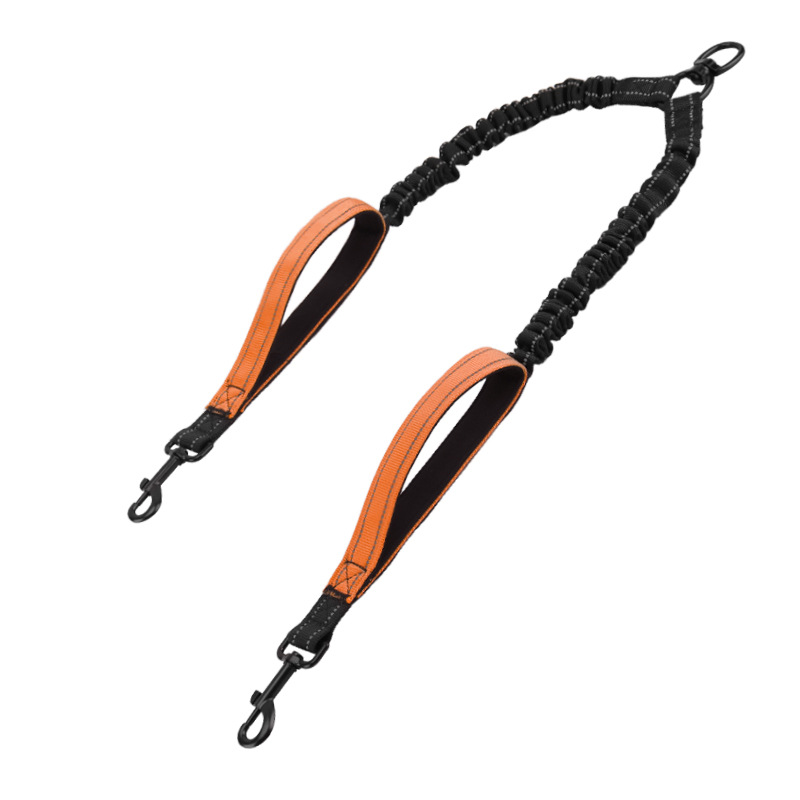 Double Head Retractable Leash