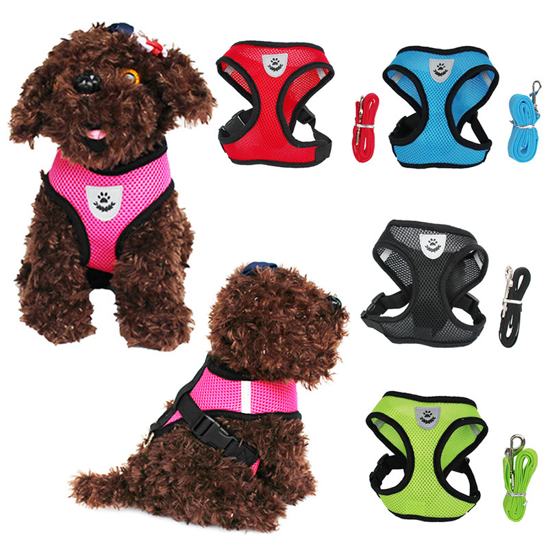 Adjustable Basic Pet Harness & Collar