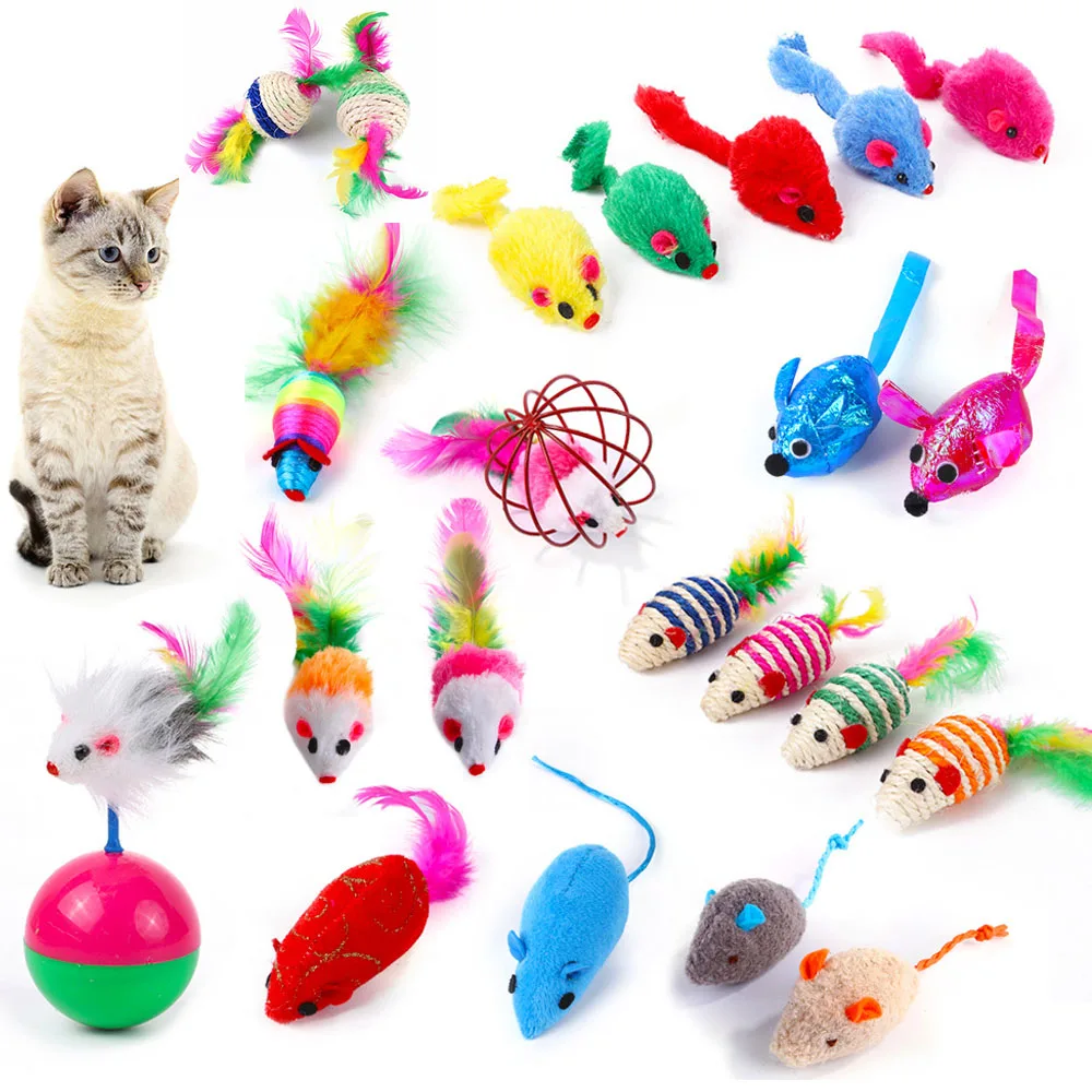 Interactive Cat Toys