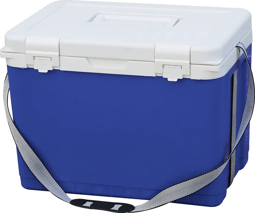 25L Medical Ice Box
