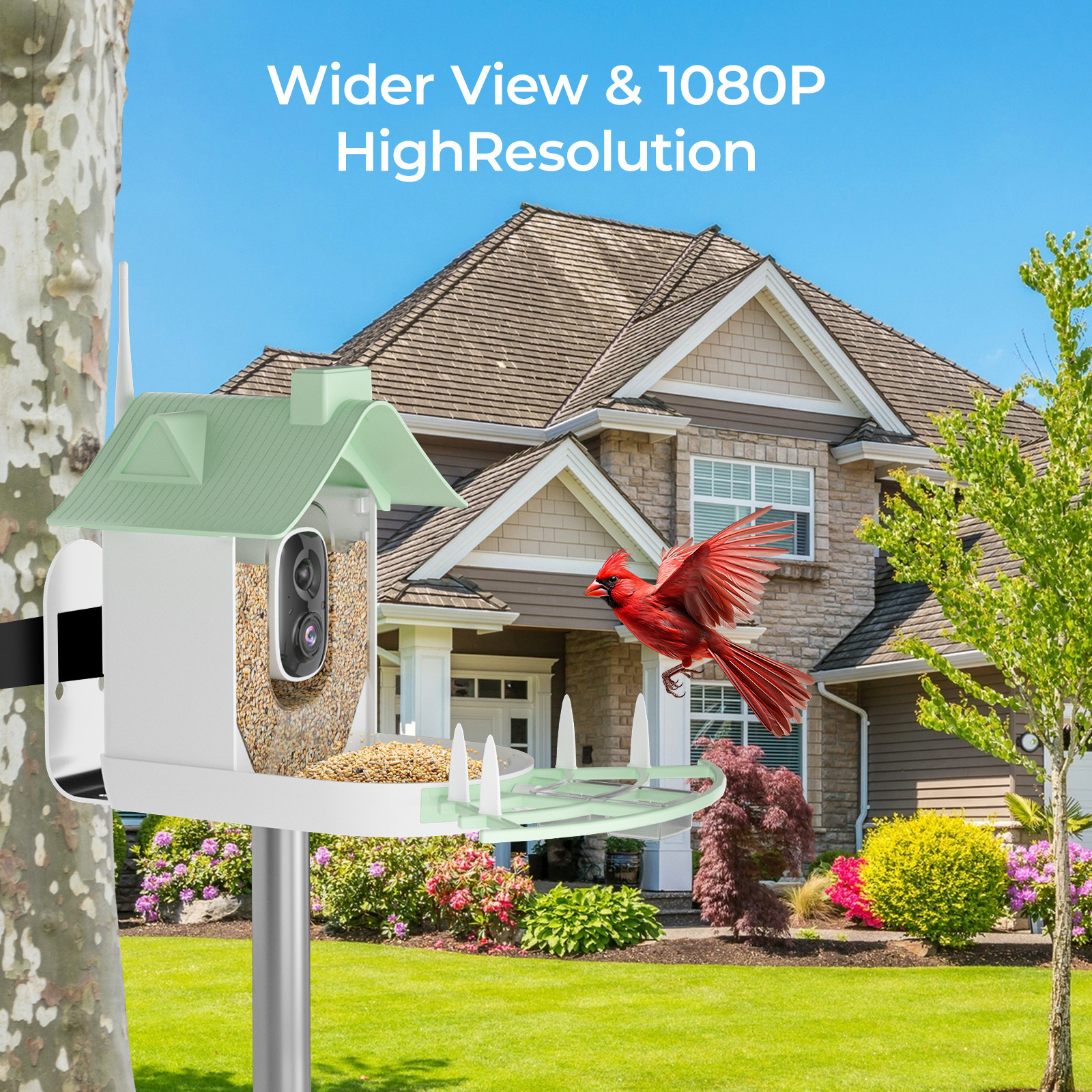 1080p Solar Bird Feeder Cam