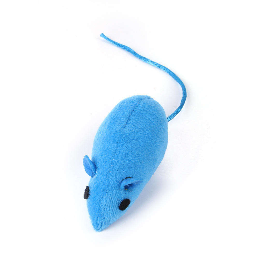 Interactive Cat Toys