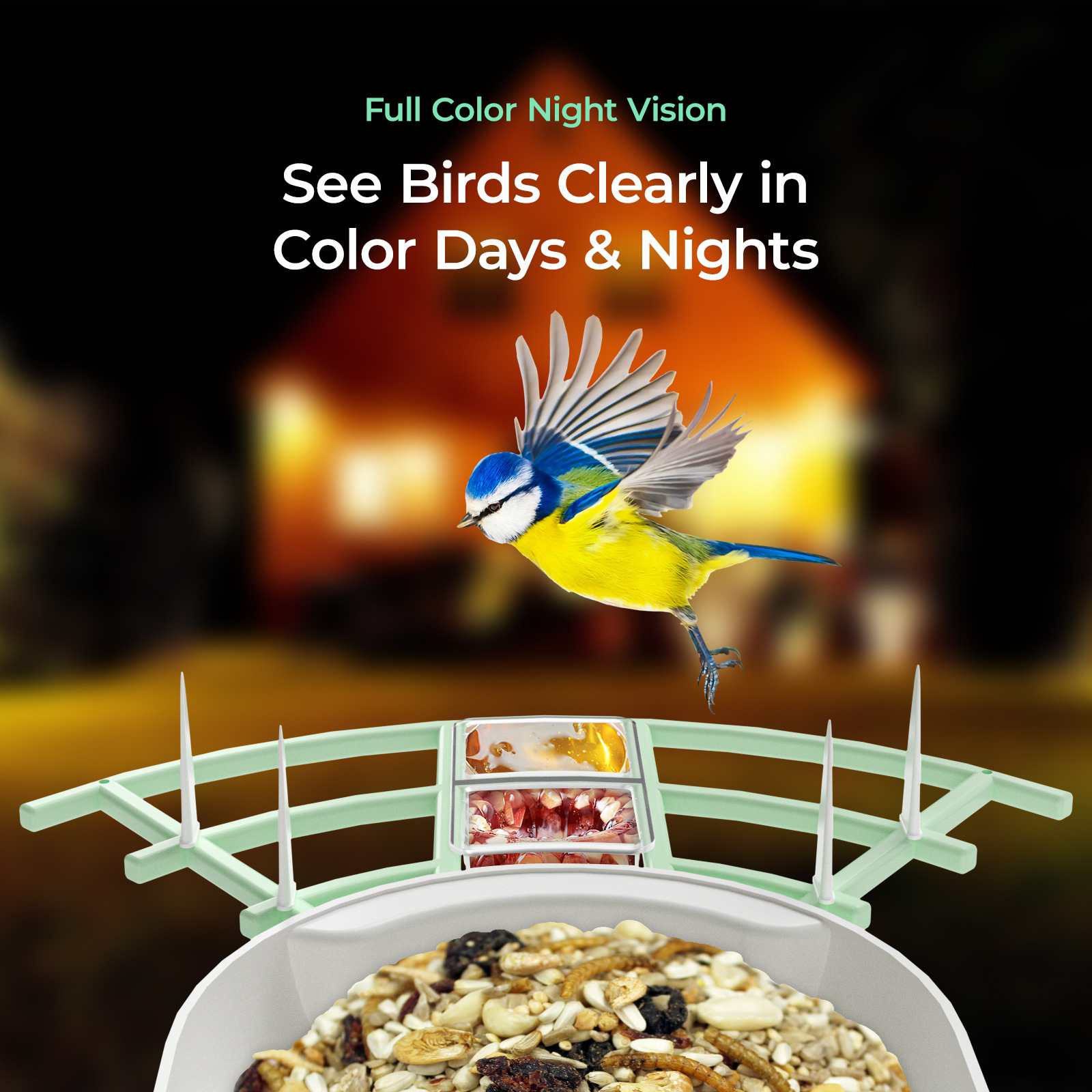 1080p Solar Bird Feeder Cam