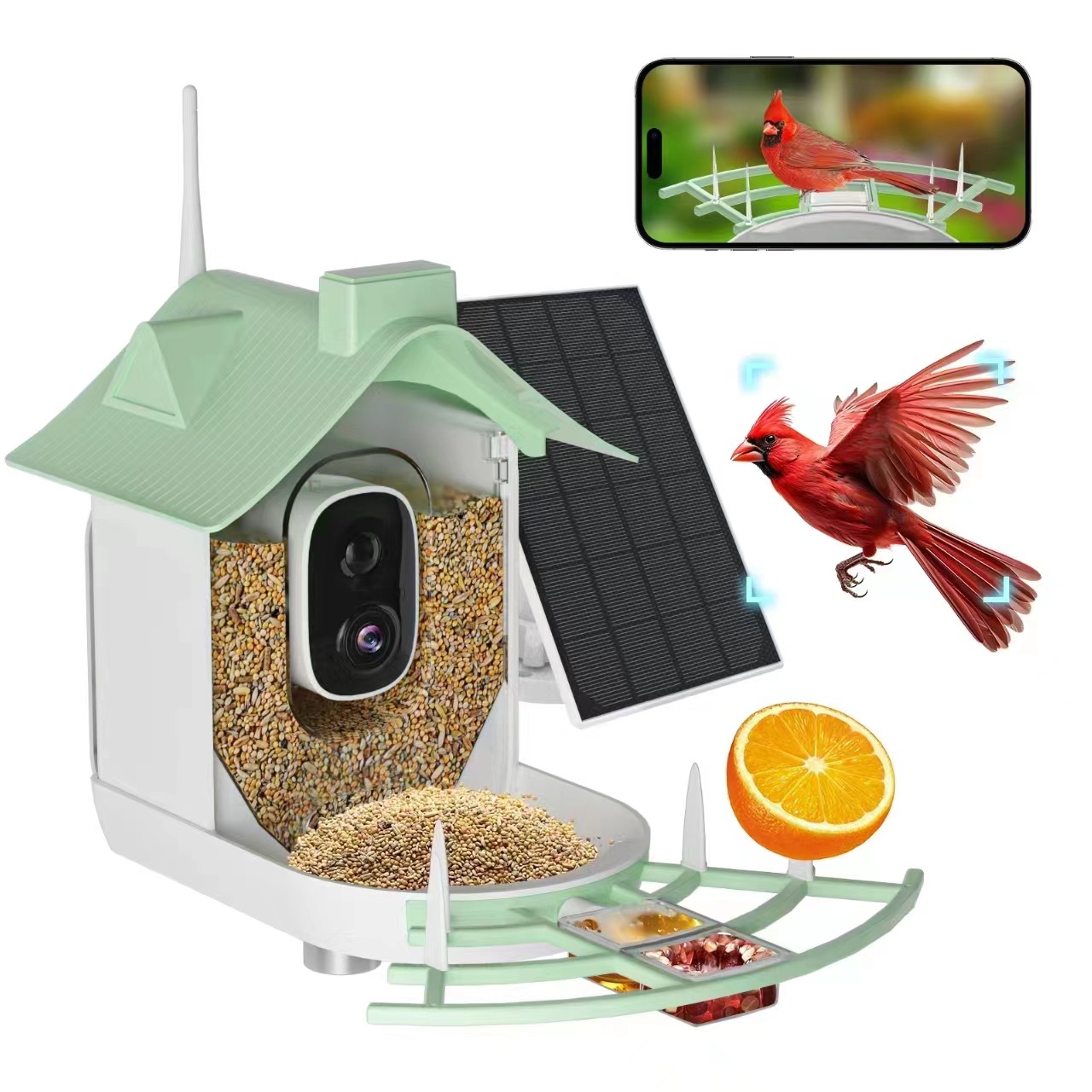 1080p Solar Bird Feeder Cam