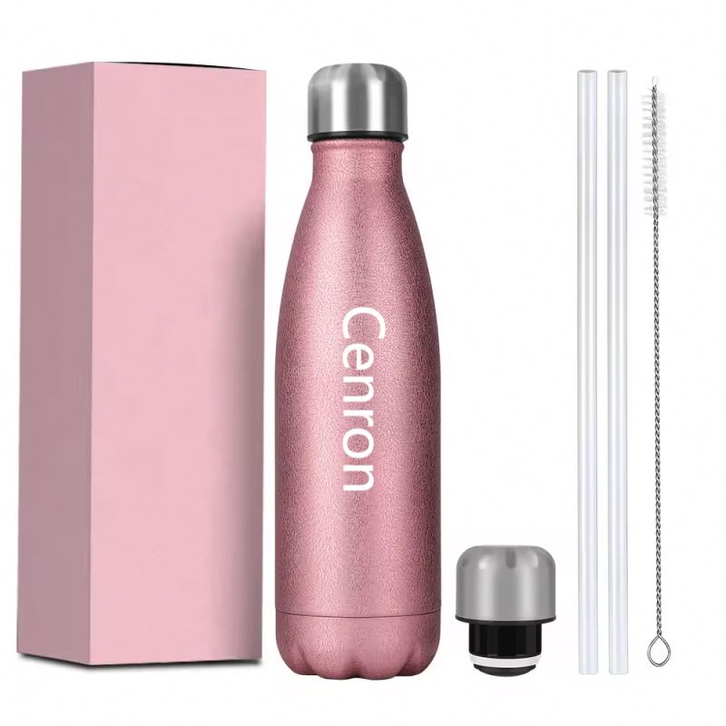 Double Layer Stainless Steel Water Bottle