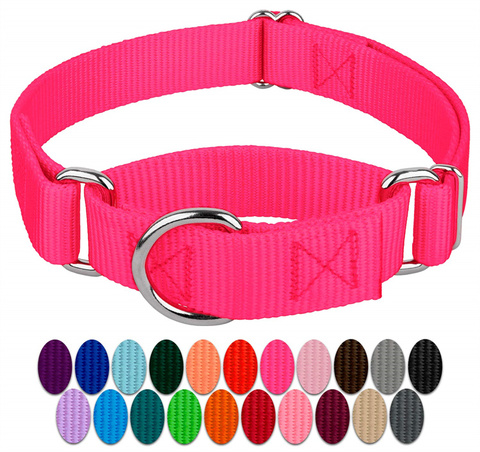 Adjustable Nylon Training Collar